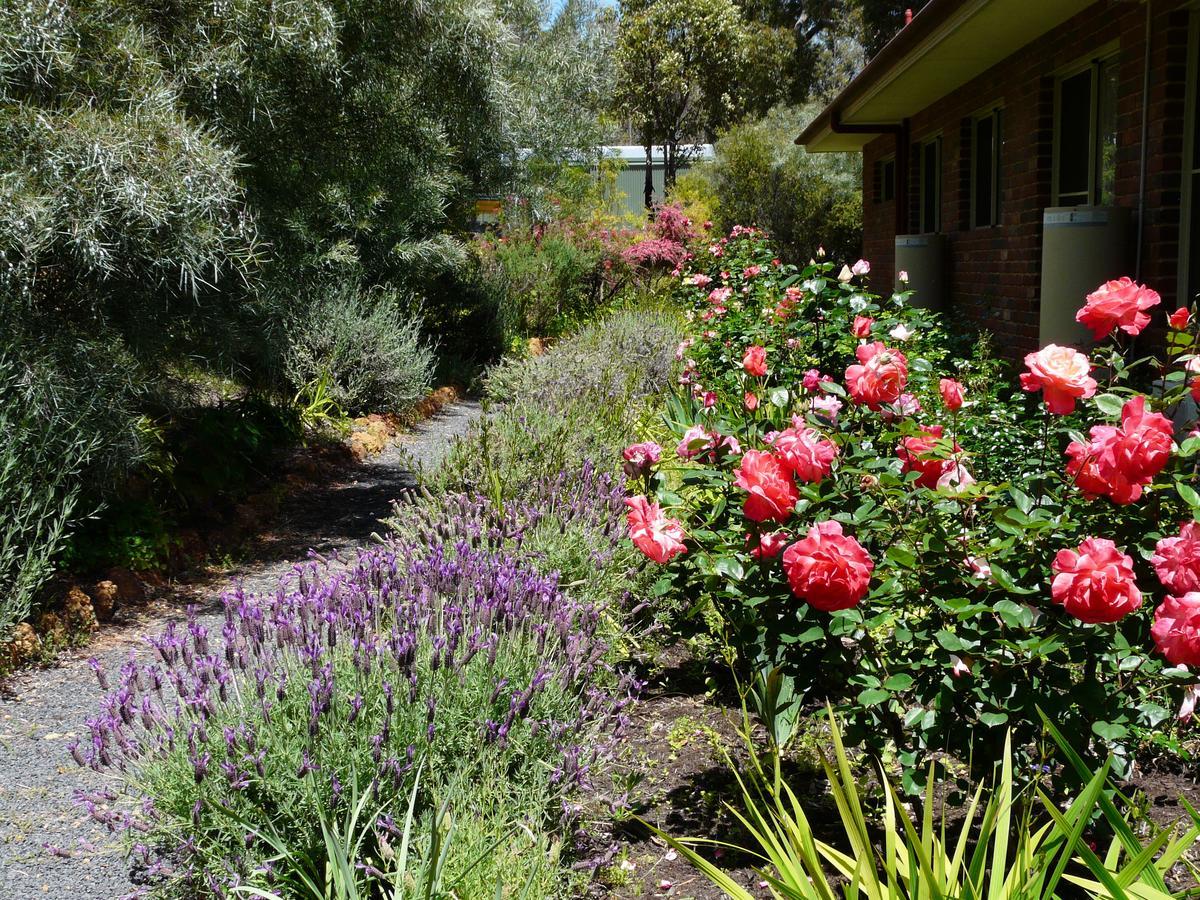 Country Charm Retreat B&B Donnybrook Eksteriør bilde